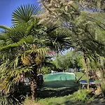 Haus Der Musik 270m Veranda- Garten Und Pool By Interhome Holiday home