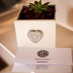 Holiday home Haus Der Musik 270m Veranda- Garten Und Pool By Interhome Ostra