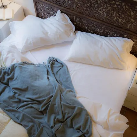 Haus Der Musik 270m Veranda- Garten Und Pool By Interhome * Ostra